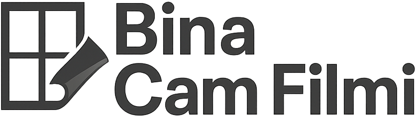 Bina Cam Filmi